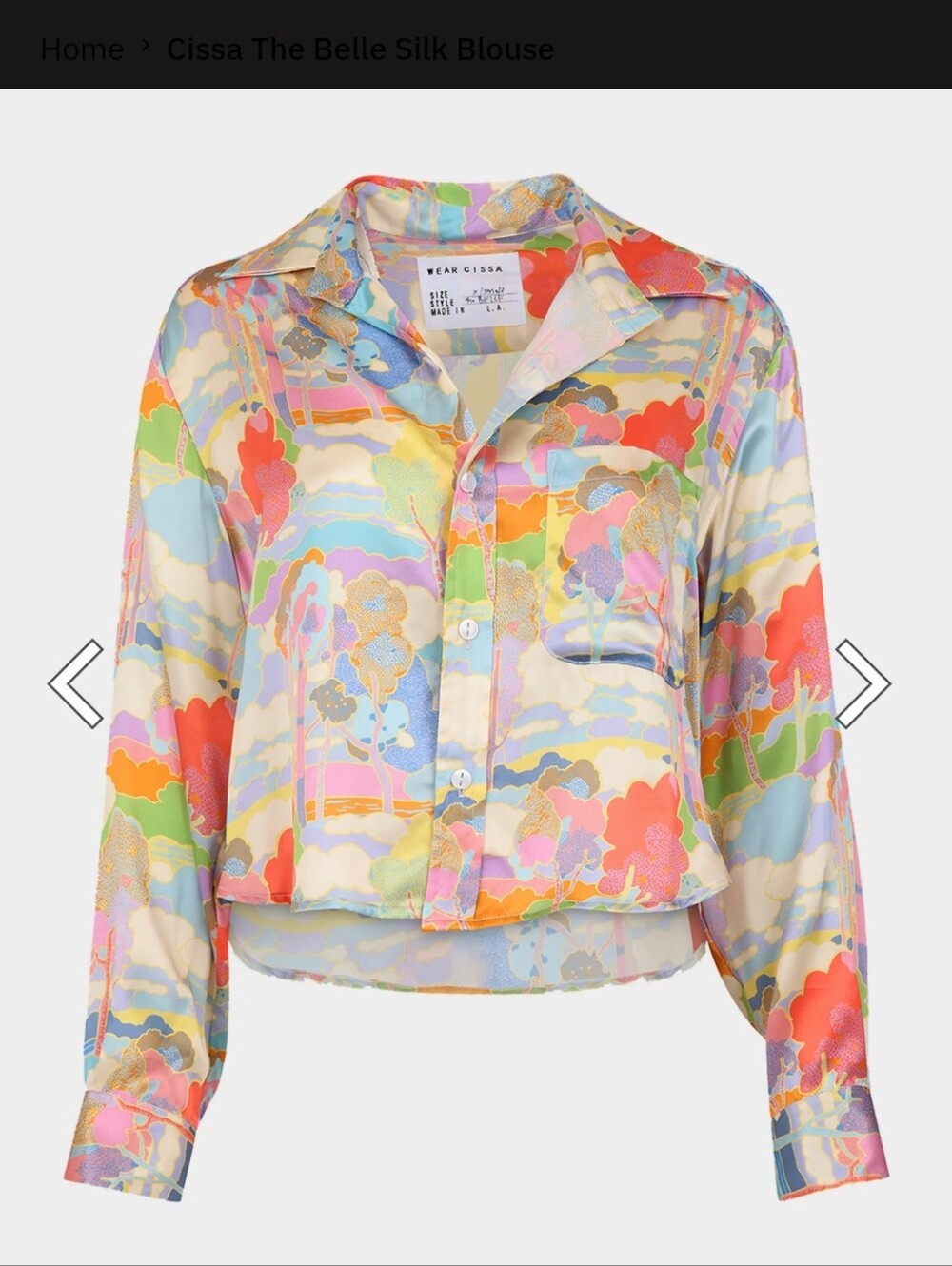 Wear Cissa Silk Pastel Watercolor Button-Up Blouse